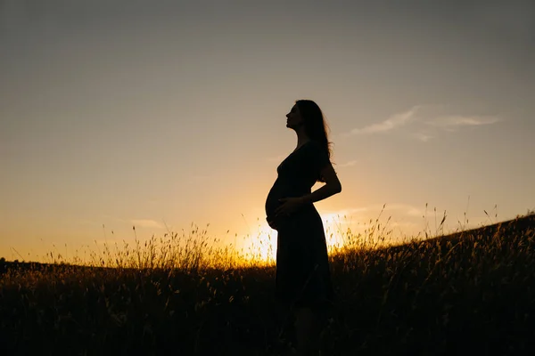 Silhouette Belle Femme Enceinte Robe Debout Dans Champ Blé Coucher — Photo