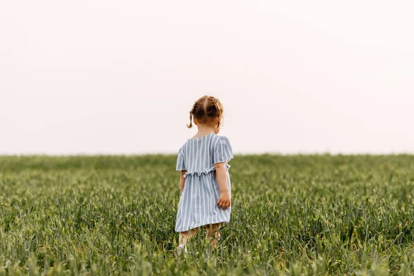 Portrait Adorable Little Girl Green Field — Stock Photo, Image