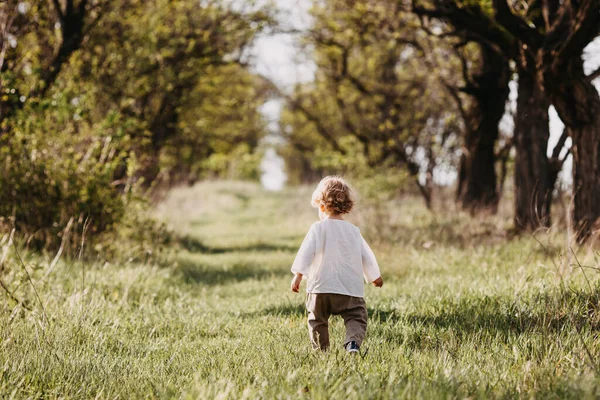 Чарівний Маленький Хлопчик Стильному Одязі Природі — стокове фото