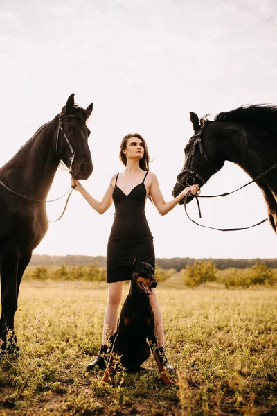 Retrato Mujer Hermosa Vestido Negro Con Dos Caballos Naturaleza — Foto de Stock