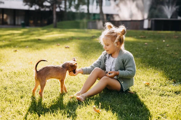 Close Retrato Adorável Menina Com Cachorro Divertindo Parque — Fotografia de Stock