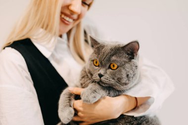 Mutlu genç bir kadının İngiliz stetesiyali saf bir kediyi tuttuğu yakın plan..