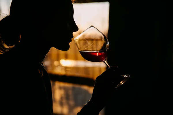 Silhouette Woman Drinking Wine Sunset Sky — Stock Photo, Image