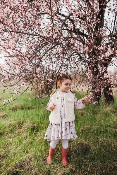 Liten Flicka Utomhus Ett Körsbärsträd Blom Leka Med Blommor — Stockfoto