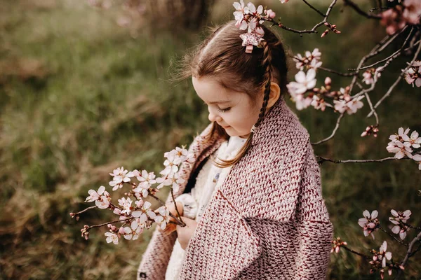 在春天的日子里 一个戴着辫子捧着一束盛开的粉红色樱桃树花的女孩在户外 — 图库照片