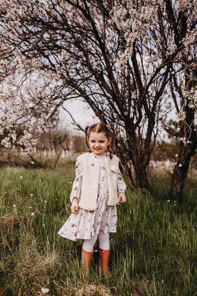 Liten Flicka Som Står Trädgård Ett Körsbärsträd Blom — Stockfoto