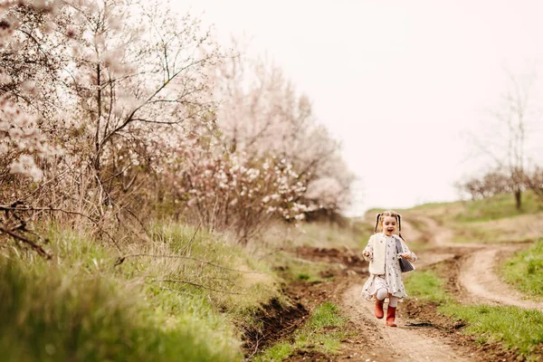 Liten Flicka Gummistövlar Med Två Flätor Springer Stig Landsbygden Vårdagen — Stockfoto