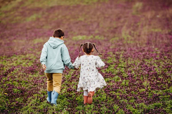 Lillasyster Och Bror Springer Iväg Ett Fält Med Lila Blommor — Stockfoto