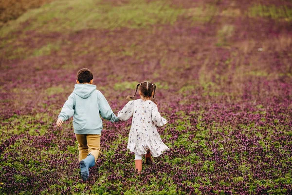 Pojke Och Flicka Springer Iväg Ett Fält Med Lila Blommor — Stockfoto