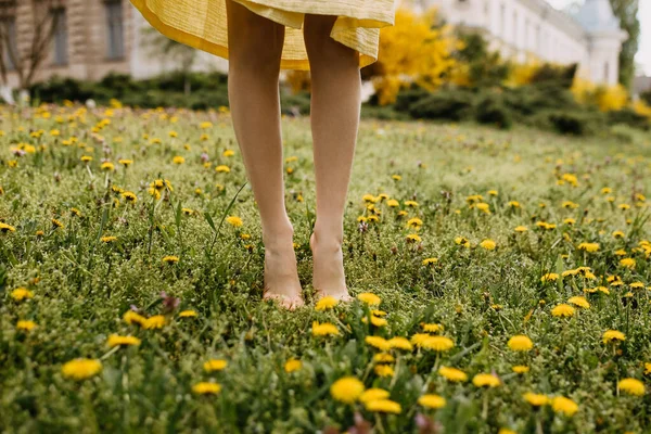 Zbliżenie Kobiet Bosych Nóg Polu Zieloną Trawą Kwiatami — Zdjęcie stockowe