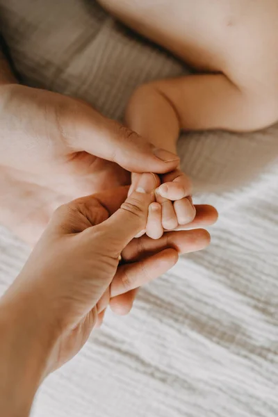 お父さんとお母さんは小さな新生児の手を握って — ストック写真
