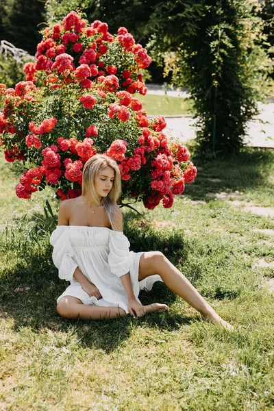 一个年轻的金发女人坐在一个公园里 旁边是一丛丛粉红色的玫瑰 穿着一件白色的连衣裙 — 图库照片