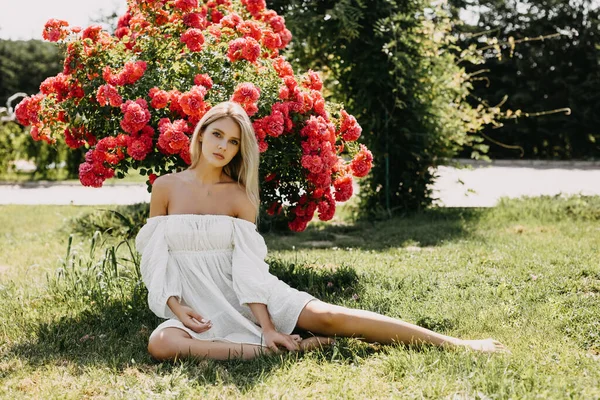 若いブロンドの女性は白いドレスを着て バラの大きな茂みの隣の公園に座っている — ストック写真