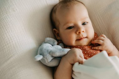 Üç aylık bir bebeğin pelüş bir oyuncağa sarılma portresi..