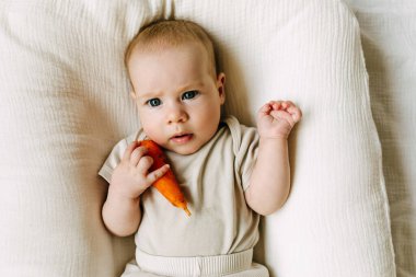 Havuç tutan bir bebek. Gıda çeşitlendirme kavramı.