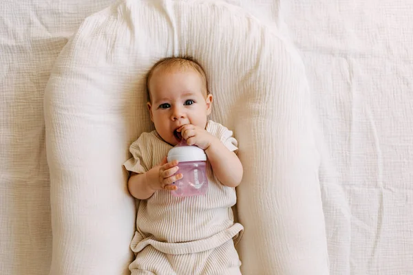 Μωρό Ξαπλωμένο Μια Φωλιά Κρατώντας Ένα Μπουκάλι Γάλα — Φωτογραφία Αρχείου