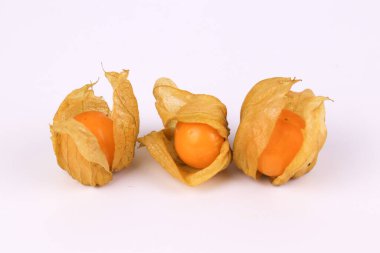 Kaz Böğürtlenini beyaz arkaplanda kapat