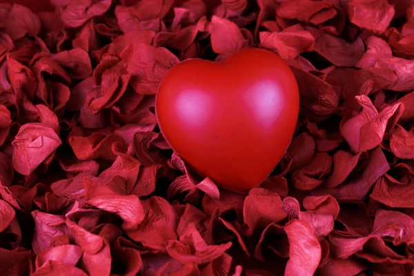 Red Heart Red Rose Petals Celebrate Valentine Day — Stock Photo, Image