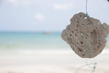 Mercan Asma Mobil ve Deniz