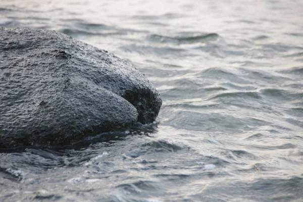 Deniz Dalgası ve Kaya, Sahilde Gezinti