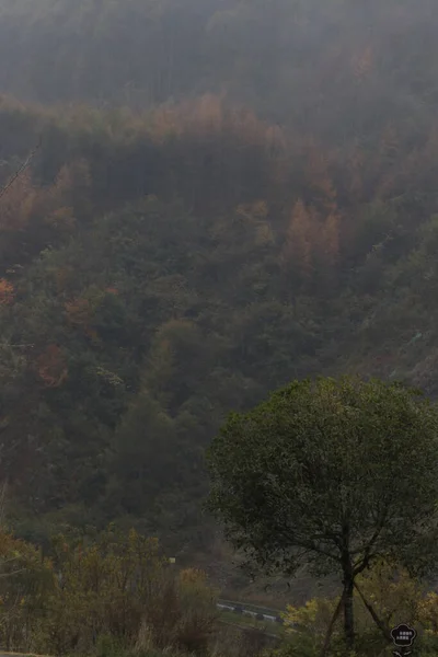 Dağın Manzarası Mevsim Değiştiğinde Kış Zamanı Geliyor Yapraklar Dökülüyor Sis — Stok fotoğraf