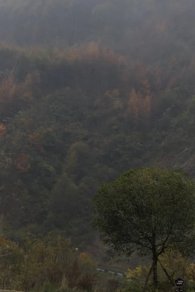 当季节变了 山边的风景 冬天来了 树叶凋零 浓雾笼罩了大部分地区 宁静而宁静 — 图库照片