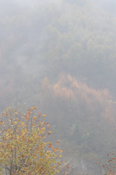 Paisajes Del Valle Otoño Hojas Convertidas Oro Niebla Cubre Mayor —  Fotos de Stock