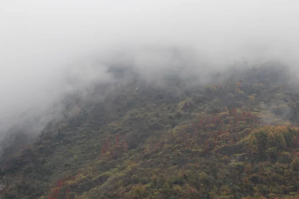 Краєвид Гори Осінній Сезон Листя Стає Коричневим Серед Туману — стокове фото
