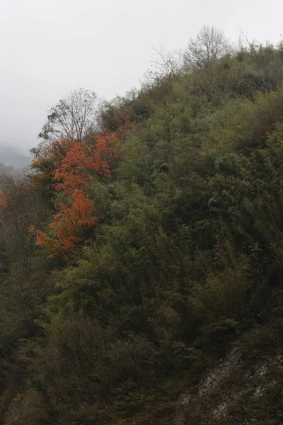 秋天的山景 — 图库照片