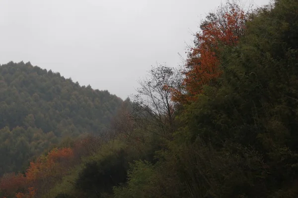 Paisaje Montaña Otoño —  Fotos de Stock