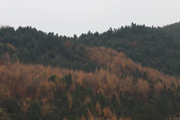 Sonbaharda Dağın Manzarası — Stok fotoğraf