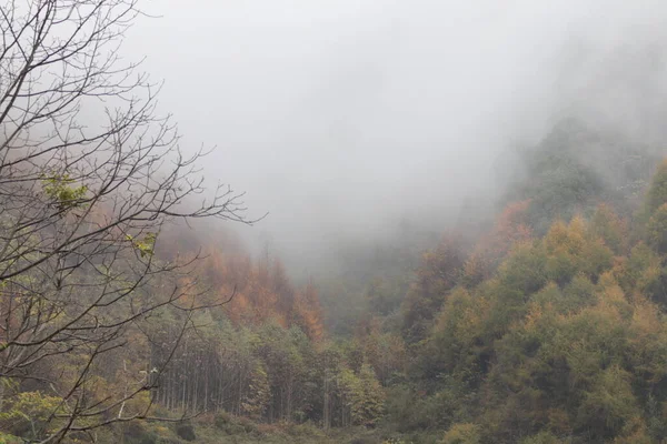 秋天的山谷景色 树叶变成了褐色 高山上笼罩着薄雾 — 图库照片