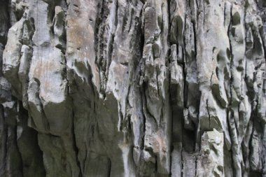 Wulong Karst: Üç Doğal Köprü, Peri Dağı, Furong Mağarası & Longshuixia Gap, Unesco Dünya Mirası, Chongqing Çin