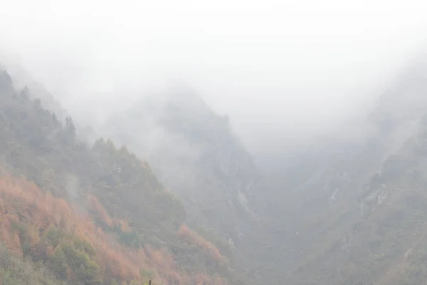 山坡上的风景 秋天的薄雾笼罩着 — 图库照片