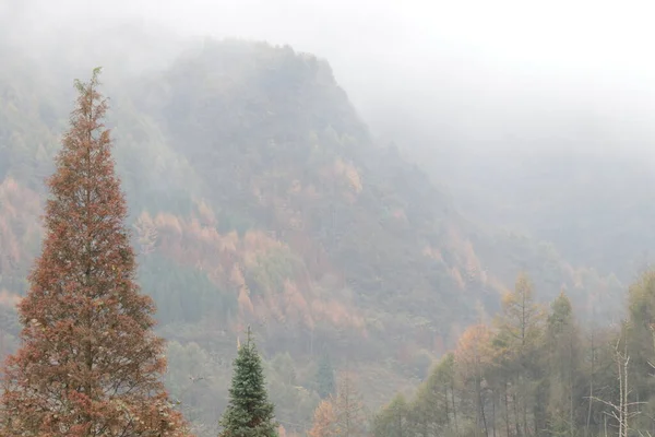 山顶上的景色布满了薄雾 显示了秋天的自然美景 — 图库照片