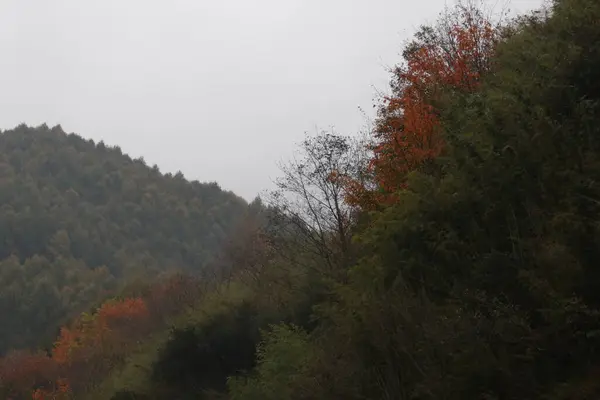 秋天的乡村山景 树叶变色的时候 — 图库照片