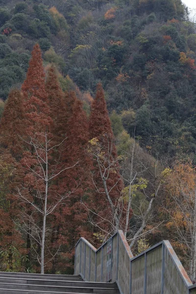 Krajobraz Góry Wiejskim Boku Jesieni — Zdjęcie stockowe