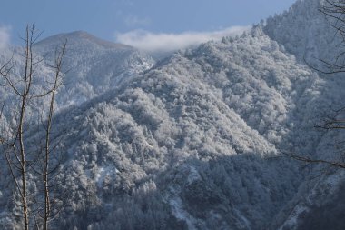 Dağda beyaz kar
