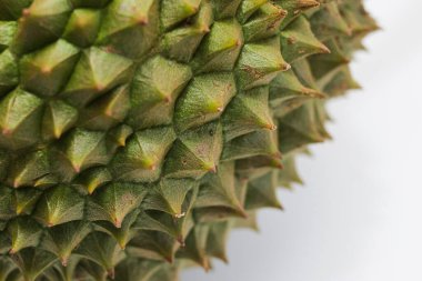 Tropikal Meyve 'yi beyaz arkaplanda kapat Durian.