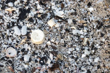 Plajdaki kirlilik, plastik torbalar, şişeler, çatlak kumdaki maskeler, Çevresel Kriz