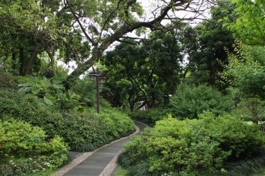 Yürüyüş yolu baharda huzur ve sükunet içinde parka gider.