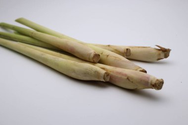 Beyaz arkaplanda limon otu