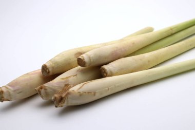 Beyaz arkaplanda limon otu