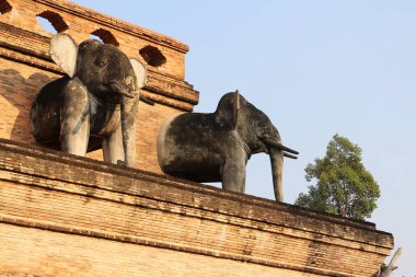 Tayland, Ayutthaya 'daki Pagoda' daki fil heykeli.