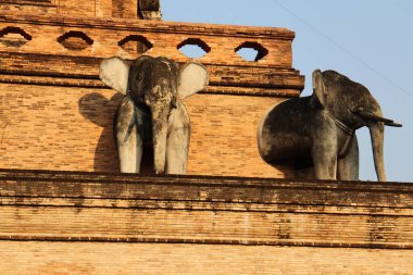 Tayland, Ayutthaya 'daki Pagoda' daki fil heykeli.