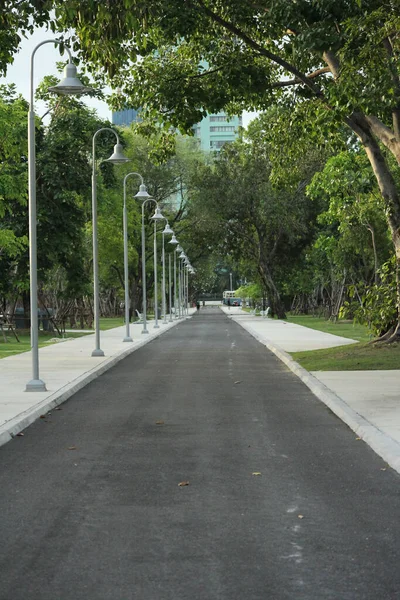 Piste Jogging Dans Parc — Photo