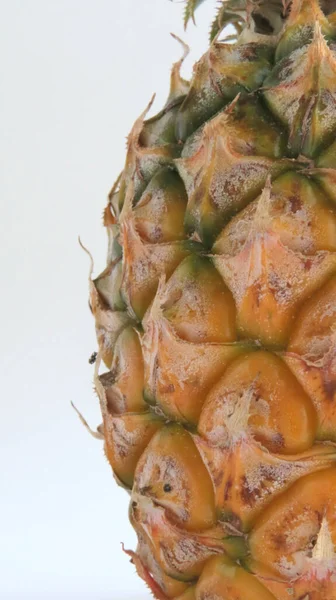 Beyaz arkaplanda Taze Ananas Kapat
