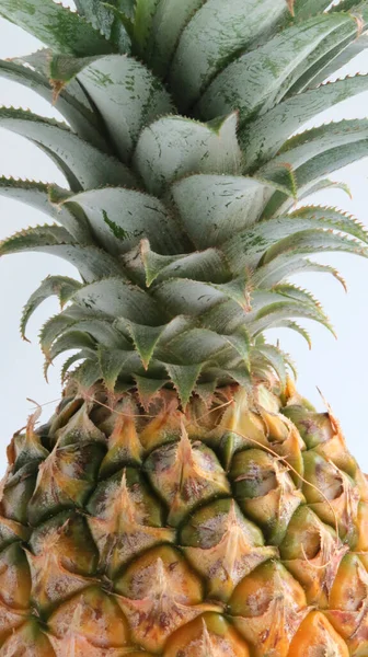 Close Frische Ananas Auf Weißem Hintergrund — Stockfoto