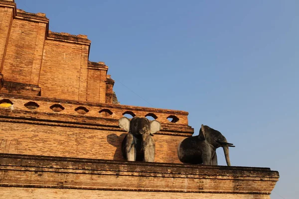 Estátua Elefante Pagode Templo Tailandês Ayutthaya Tailândia — Fotografia de Stock