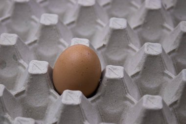 Organik Taze Yumurta 'yı kapat